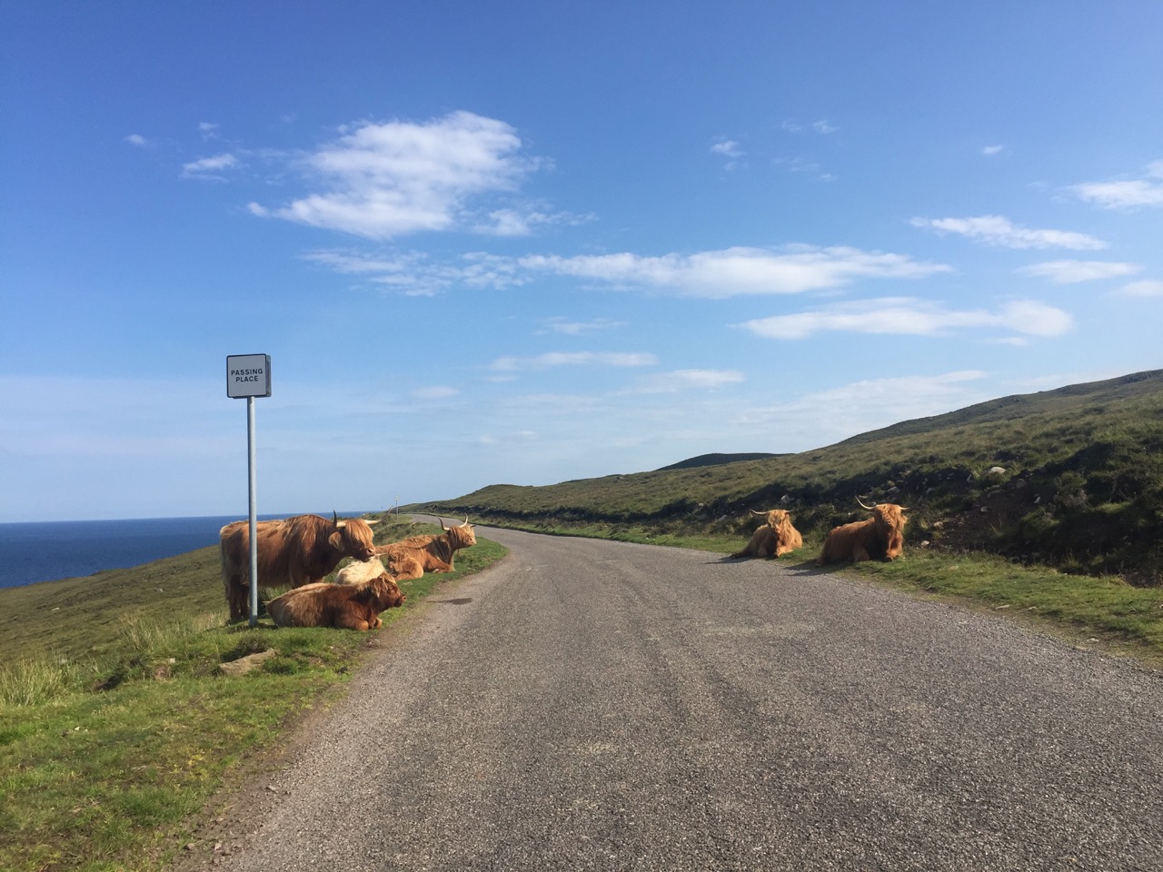 a single track road