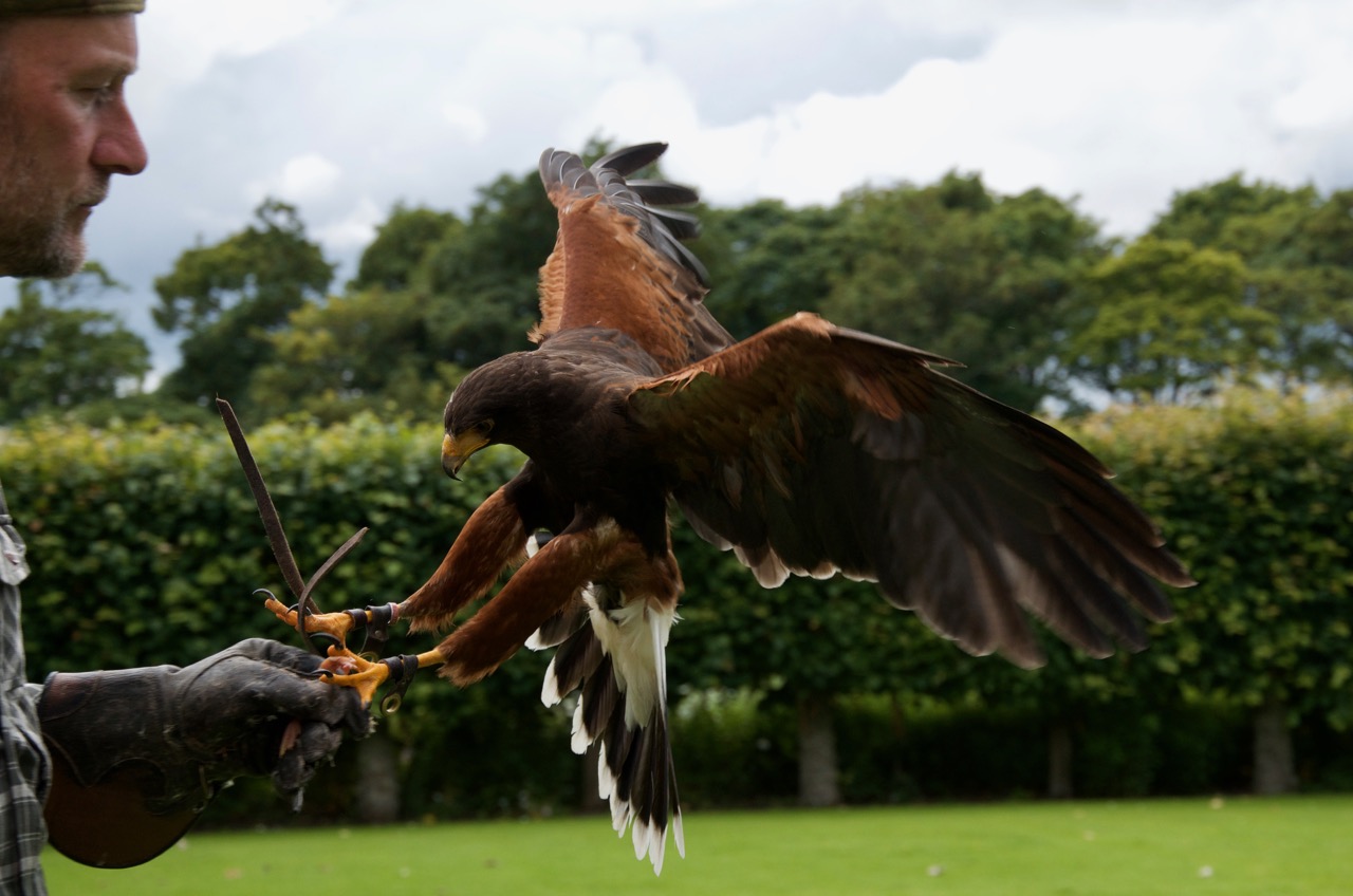 Dunrobin Castle