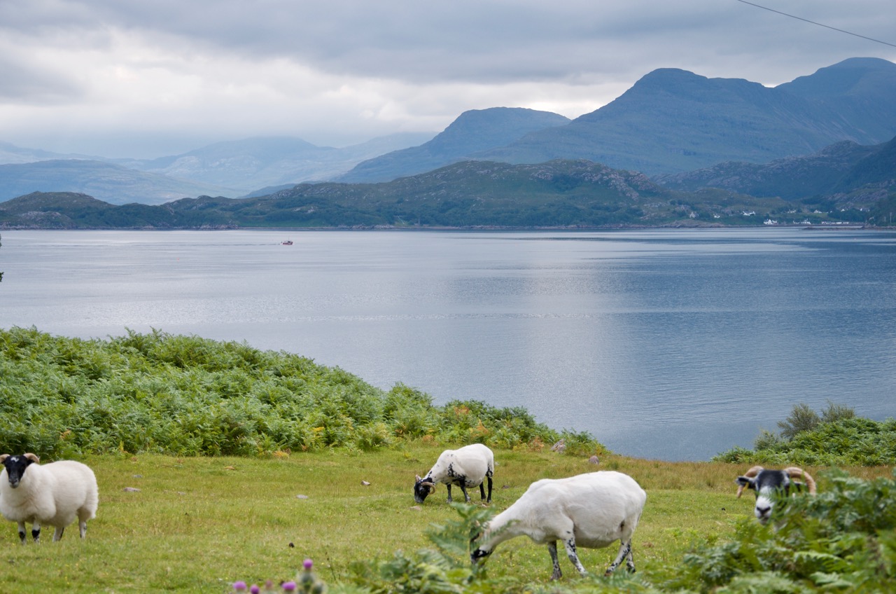 Torridon